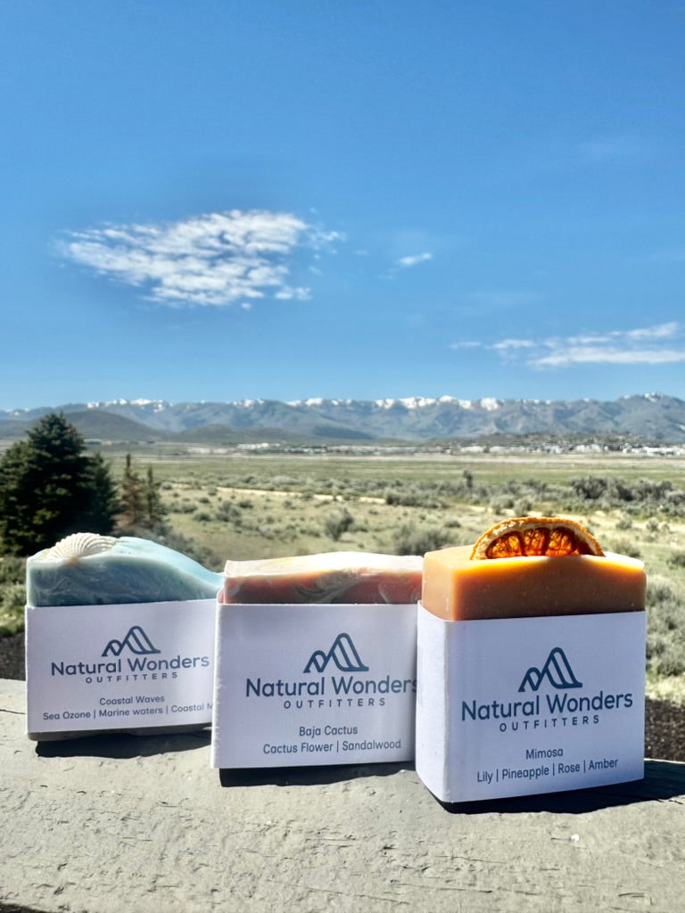 Baja Cactus  - Handcrafted Artisan Soap Bar
