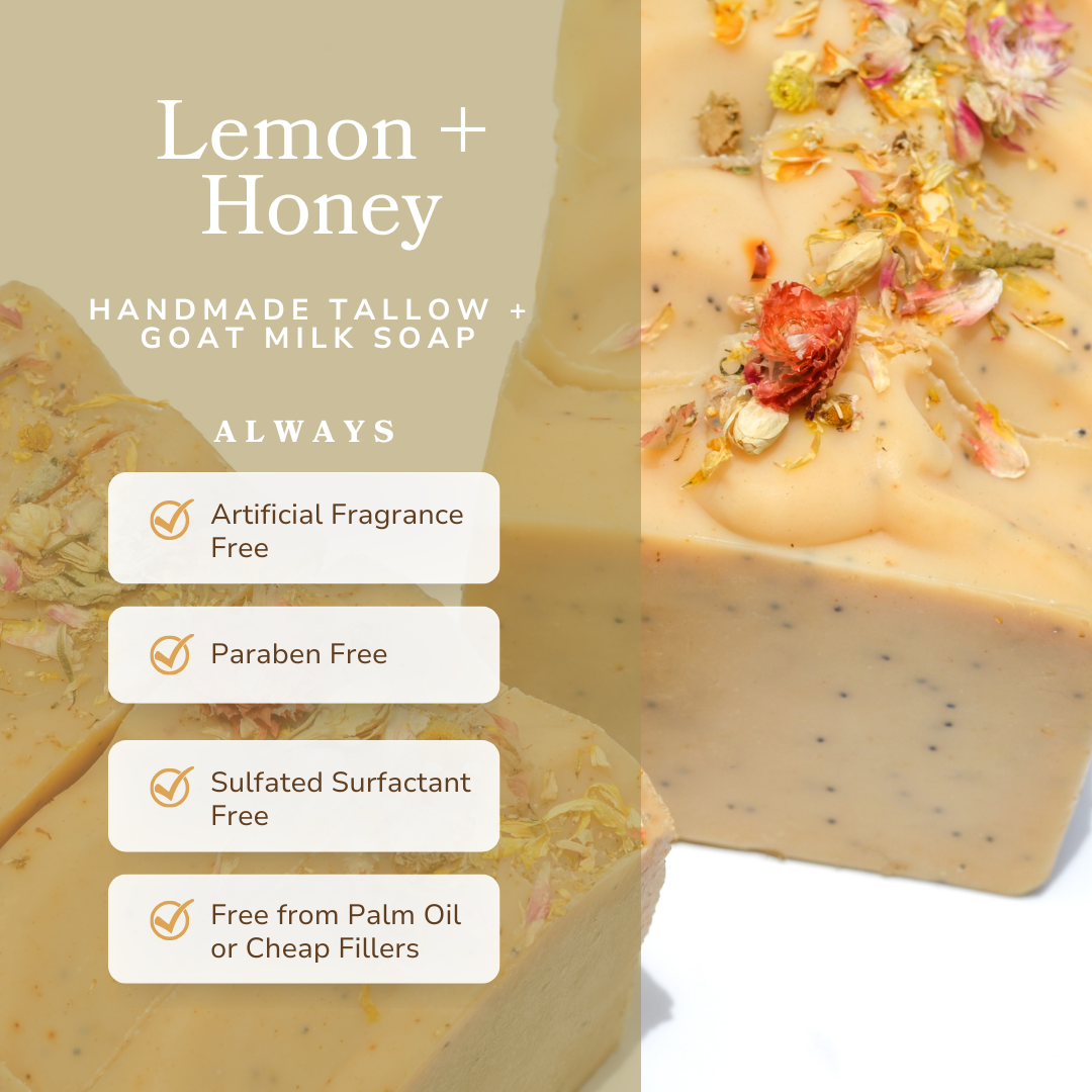 Lemon + Honey + Poppy Seed Handmade Tallow and Goat Milk Soap Bar