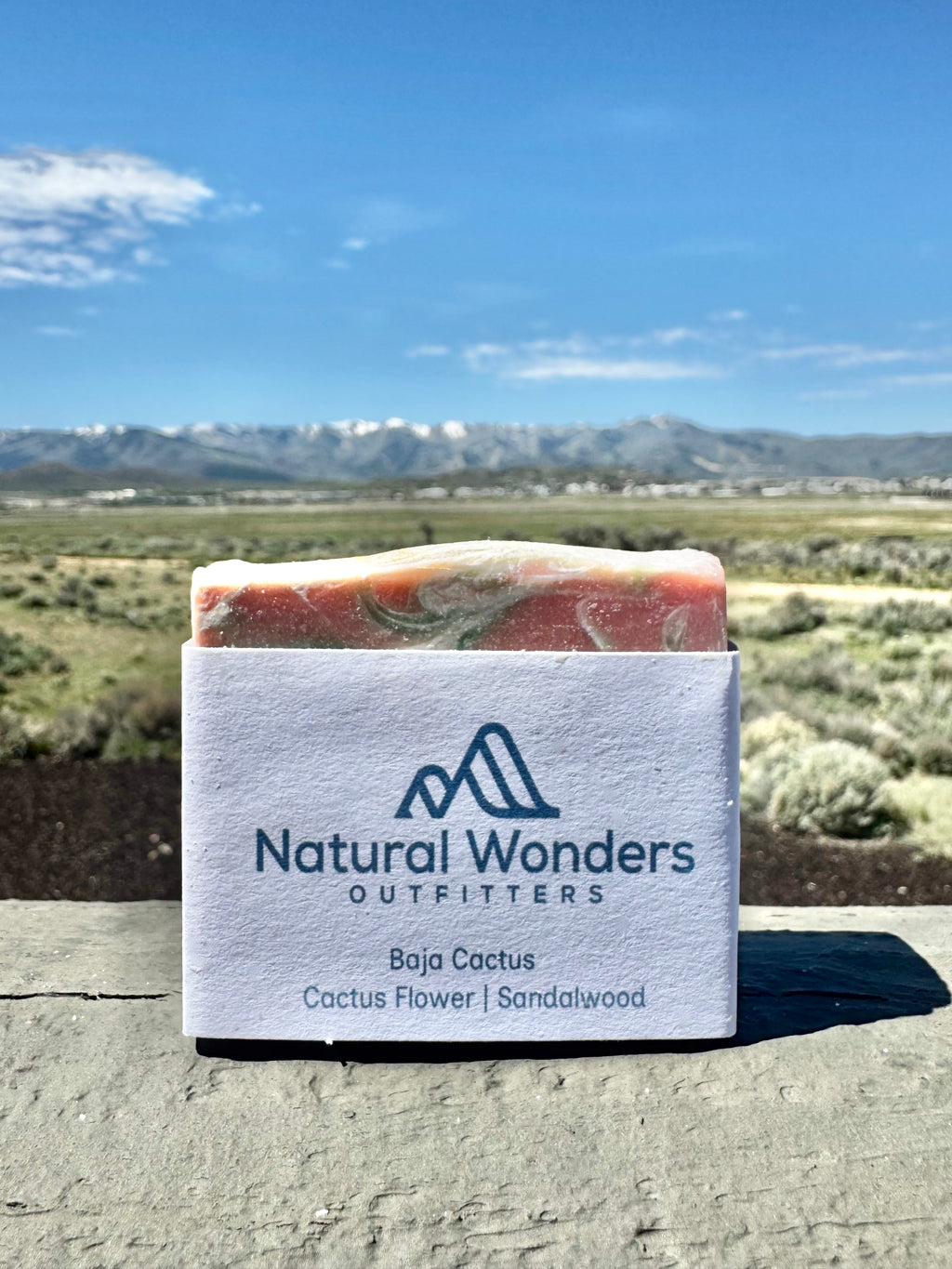Baja Cactus  - Handcrafted Artisan Soap Bar