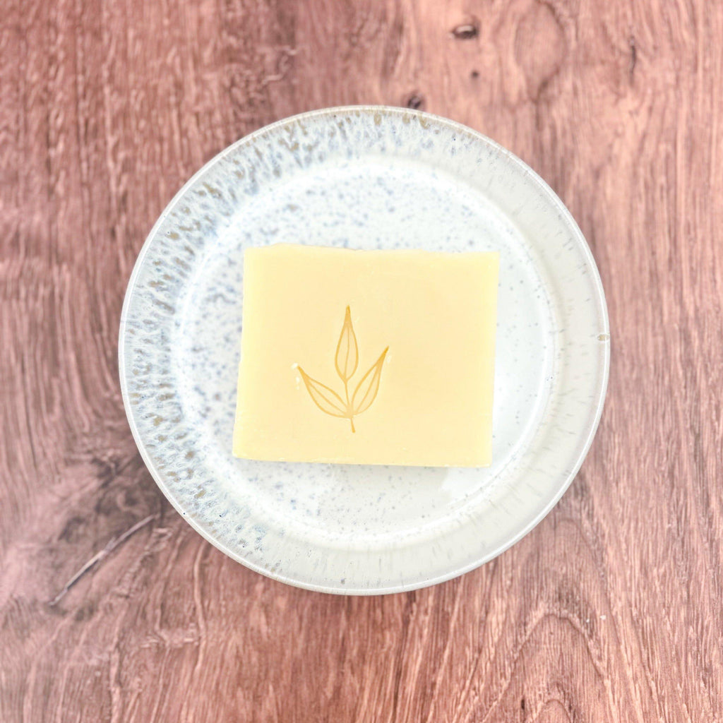Vegan Solid Dish Soap | Cruelty Free | MamaSuds