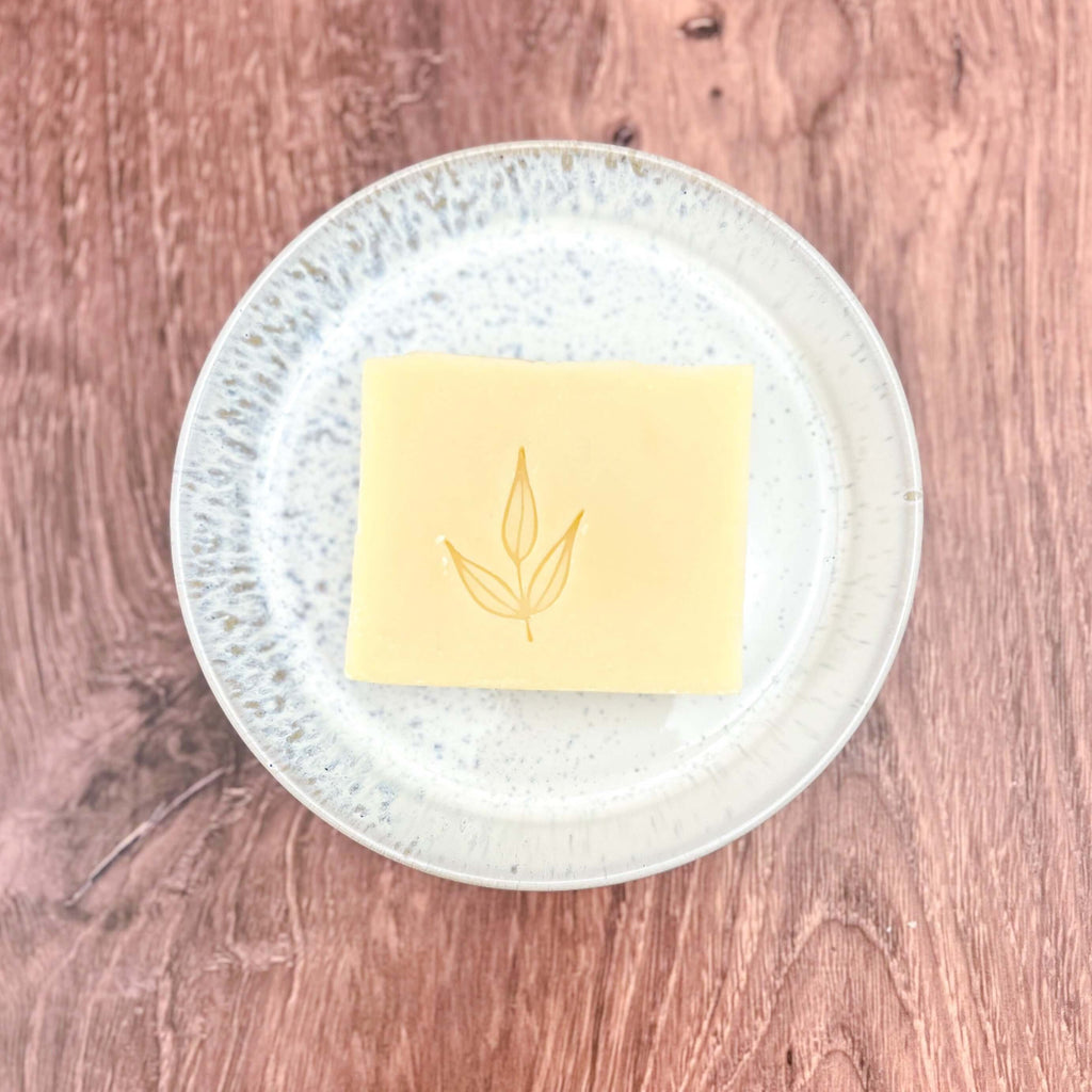 Dishwashing Trio Set | Sustainable Holiday Gift